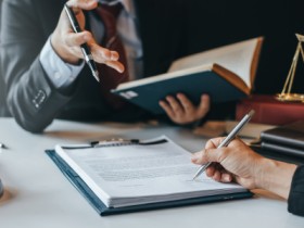Public Interest Litigation